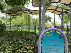 -荔湾区儿童公园