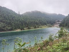 -武陵山森林公园