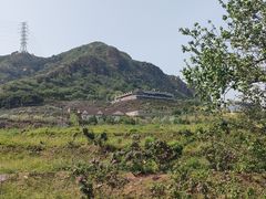 -密云玫瑰情园