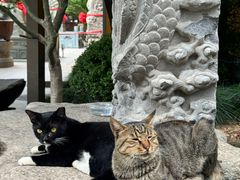 -龙华素斋(龙华路店)