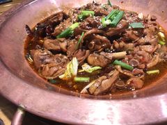-成老灶火锅鸡(高东街店)