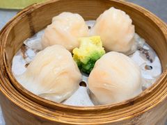 -丰鲤楼•闽南茶楼(仟禧汇店)