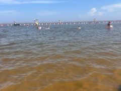 -碧海金沙