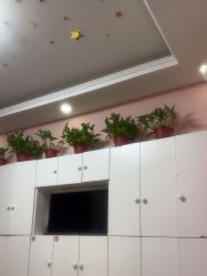 -香薇妮丝·定制减肥·身材管理