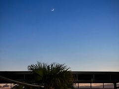 -桃园农庄·桃源宴