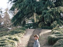 -泰州凤城河风景区-泰山公园