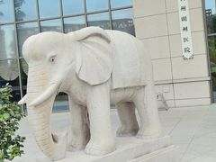 -浙江省中医院(湖滨院区)