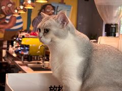 -咖法森林·咖啡  酒吧(天河店)