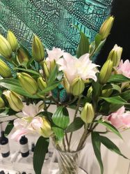 -奥斯芬·欧系贵族SPA