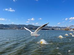 -海埂大坝