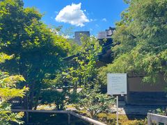 -金泽21世纪美术馆