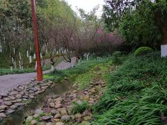 -重庆彩云湖湿地公园