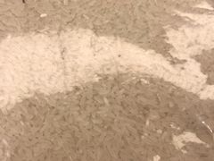 -盒马X会员店(上海森兰商都店)