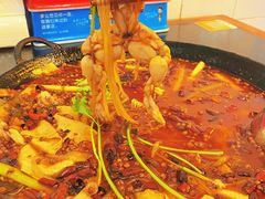 -鸿顺老铁锅美蛙鱼府(解放碑店)