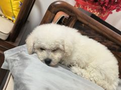 -宠颐生·恒爱宠物医院(静海店)