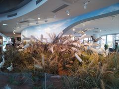 -漩门湾国家湿地公园