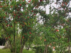 -长安大学(北校区)