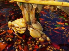-麻辣巅峰美蛙鱼头火锅(犀浦店)