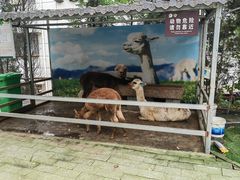 -宛园