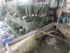 -八仔大富楼·河鲜(西江店)