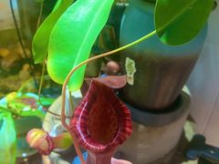 -Rabbit Cafe私房西餐甜点咖啡(栖霞路店)