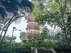 -中山公园(石岐街道)
