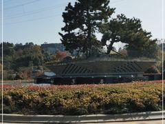 -天屿湖