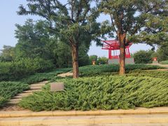 -大望京公园
