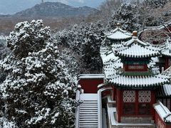 -颐和园