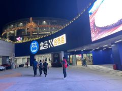 -盒马X会员店(王府井奥莱UP TOWN店)