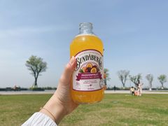 -滆湖低碳生态公园
