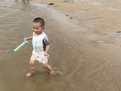 -碧海金沙