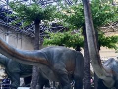 -国家自然博物馆