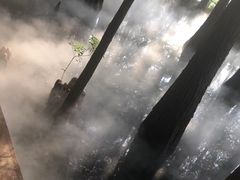-东湖落雁景区