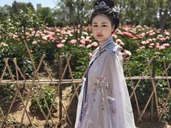 -曹州牡丹园