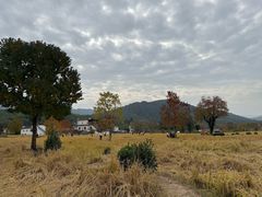 -塔川景区
