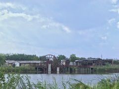 -杭州湾海上花田景区