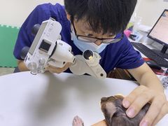 -美联众合动物医院·24h转诊中心