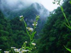 -尧治河旅游度假区