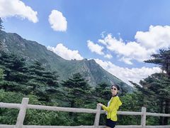 -牛背梁国家森林公园