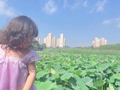 -前关湿地公园