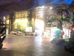 -杭州开元森泊度假乐园