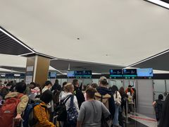 -谢列梅捷沃国际机场