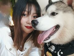 -Husky Go! 哈士奇体验馆·宠物咖啡厅狗咖