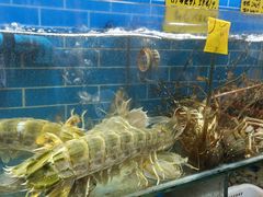 -船奇蒸汽海鲜·闽菜(八市海鲜总店)