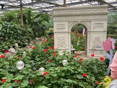 -南宫五洲植物乐园