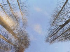 -四明湖