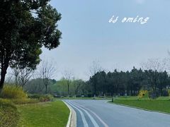 -贡湖湾湿地公园