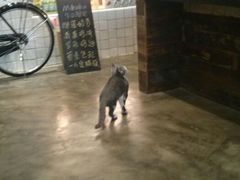 android_upload_pic-MIKAKU(万达广场上海宝山店)