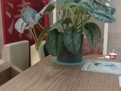 用餐区-1828王老吉·草本新茶(珠江新城地铁站店)